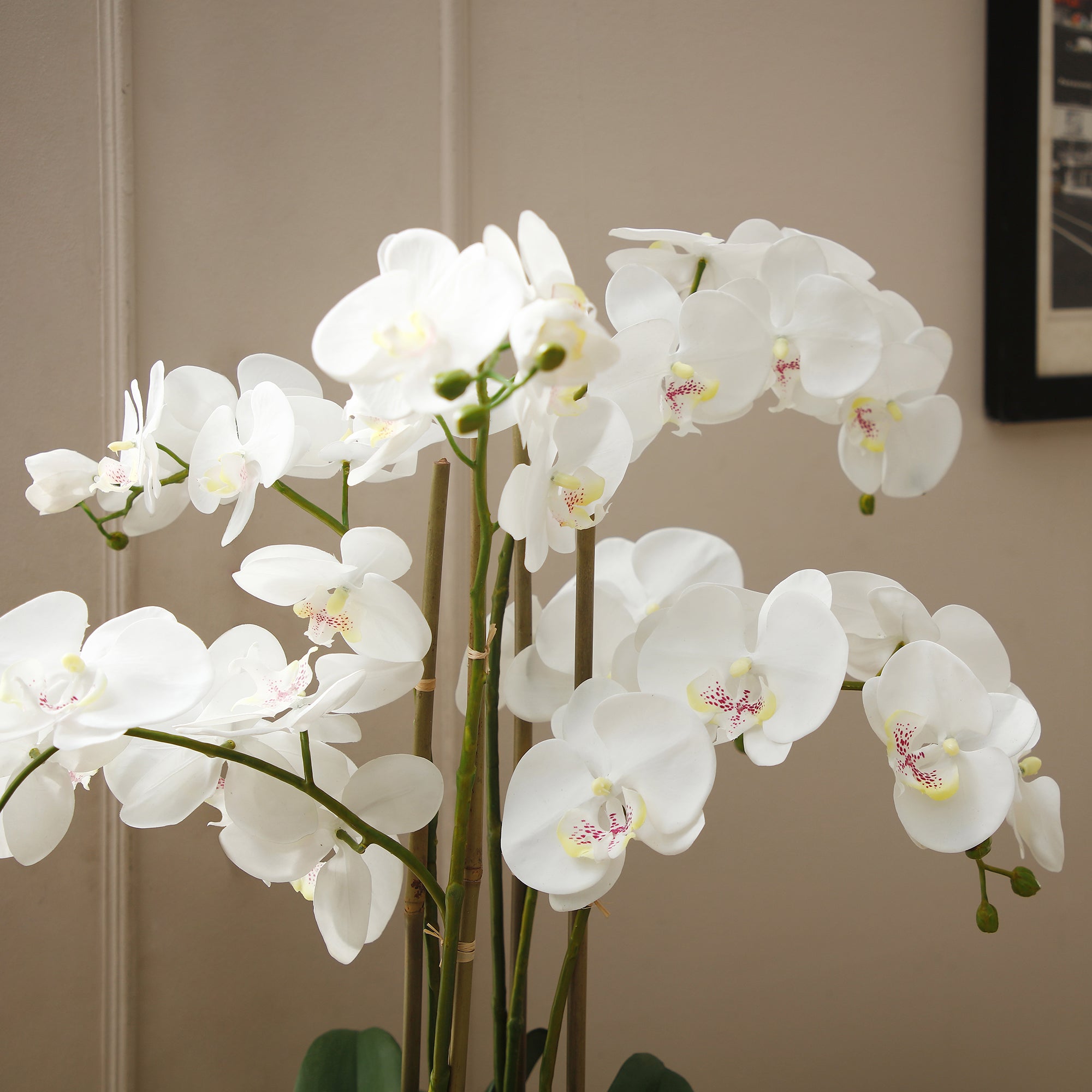 Sia Home Orchidée artificielle blanche 75 cm vase gris