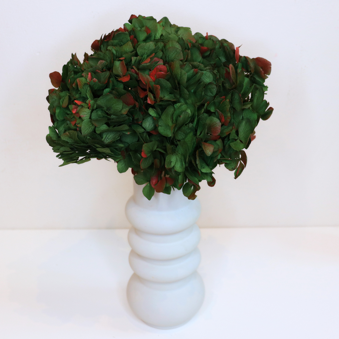 Ateliers Ouchamp Tête Hortensia bicolore blanc rose