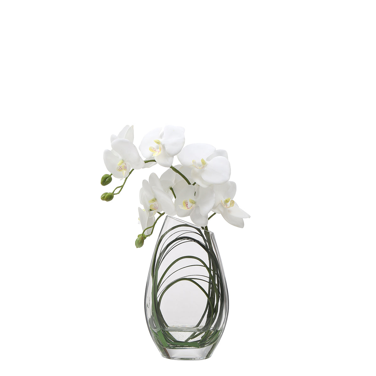 Sia Home Compositions florales Orchidée vase 29cm blanc