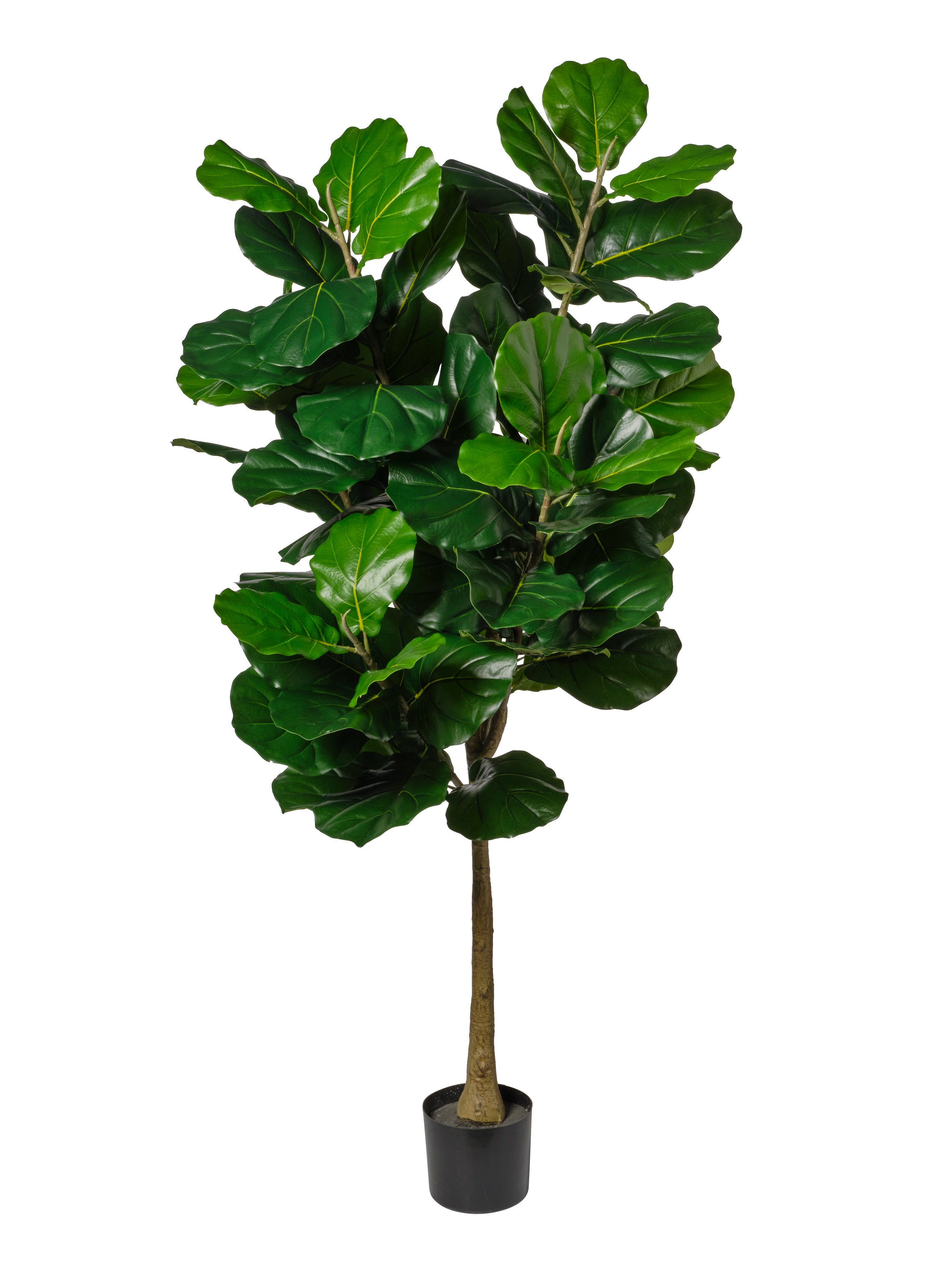 Feuillazur Rungis Ficus plante artificielle verte 190 cm sans entretien