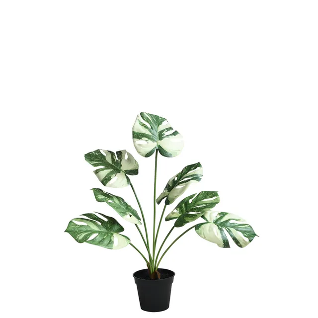 Sia Home Monstera en Pot 57 cm plante verte