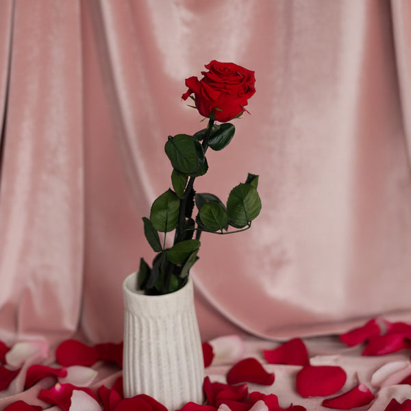 Flowrette Rose stabilisée rouge fleur éternelle cadeau