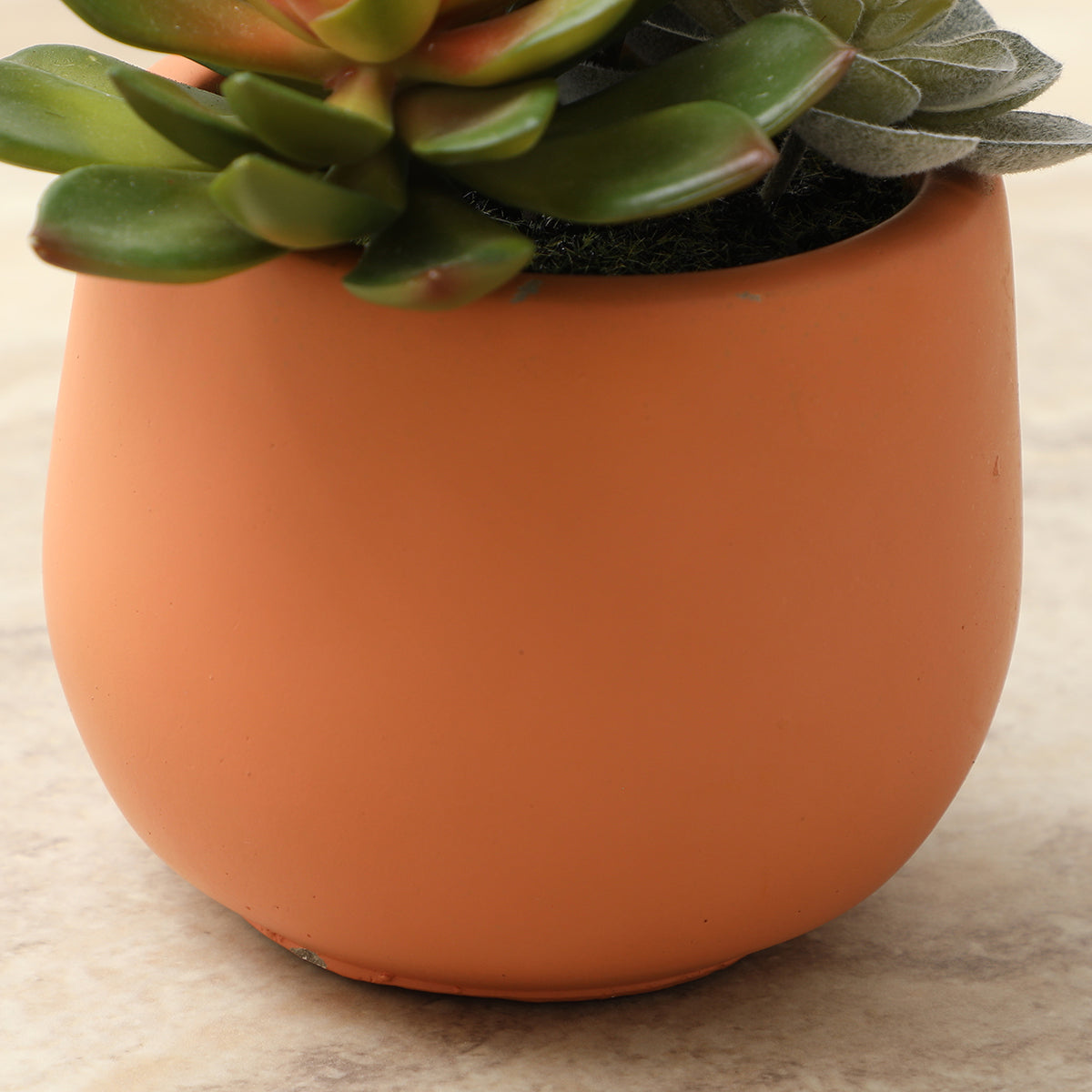 Sia Home Succulente plante artificielle vert pot 7 cm