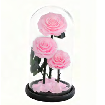 Feuillazur Rungis Trio roses stabilisées sous cloche rouge 17x32 cm