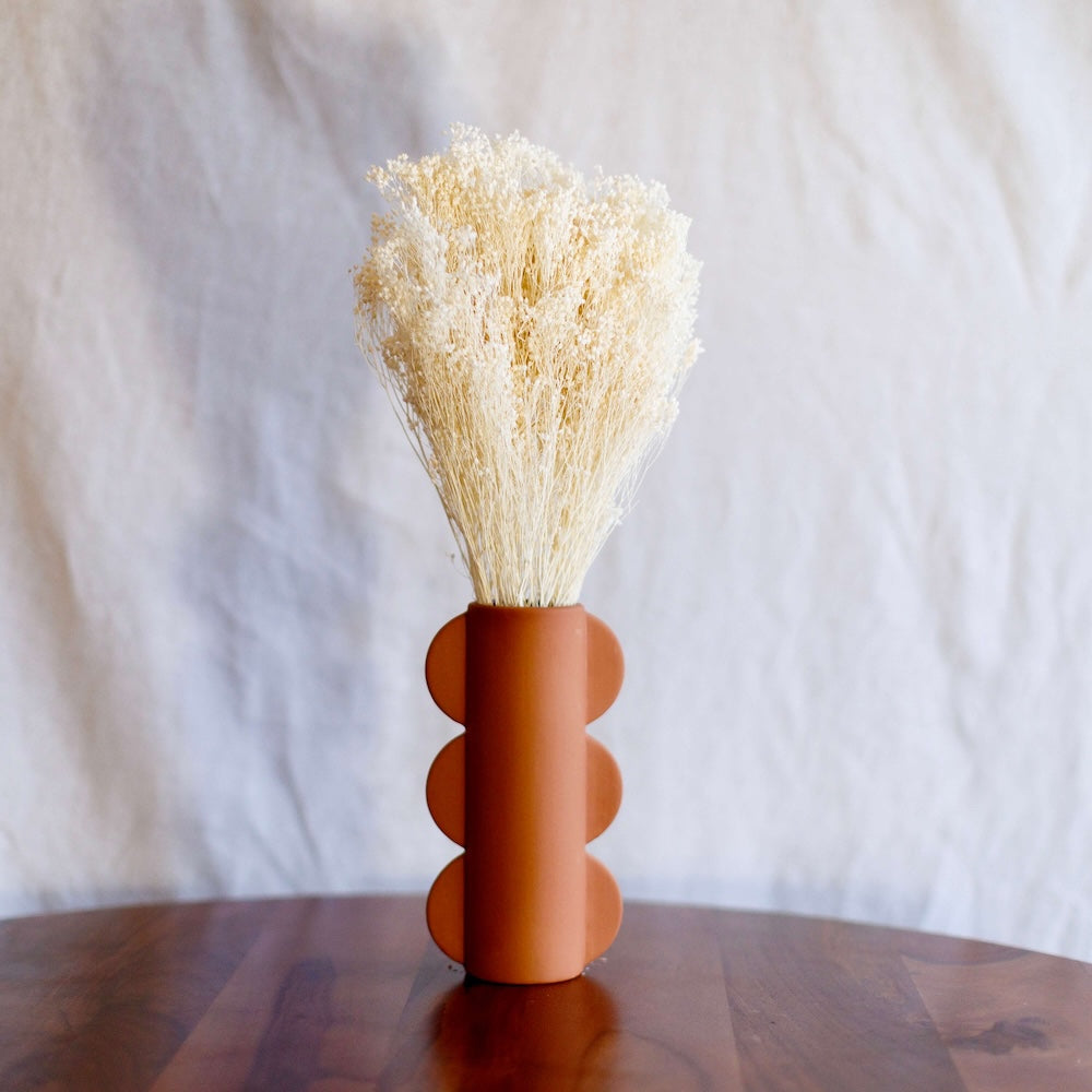 Flowrette Broom Bloom botte fleurs séchées blanc x1 vaporeux