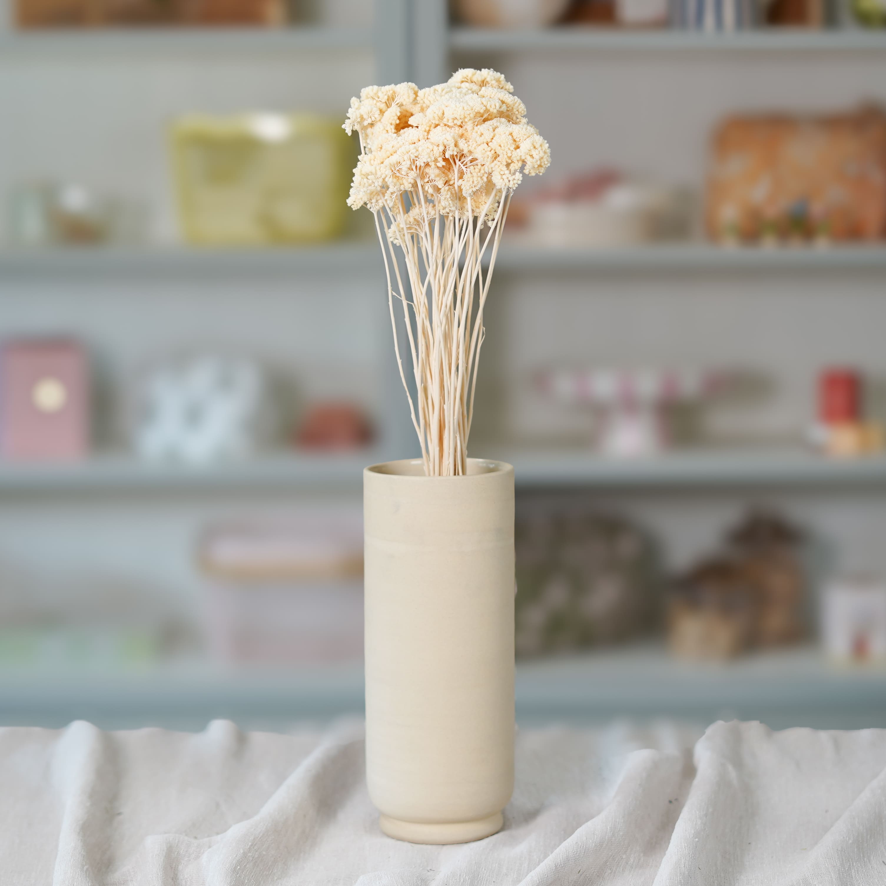 Flowrette Fleurs séchées Botte Achillée Parker blanc 5 tiges