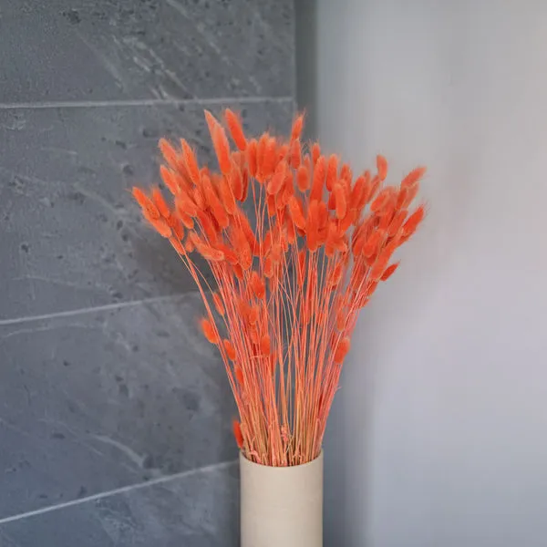 Flowrette Lagurus orange botte fleur séchée queue lapin