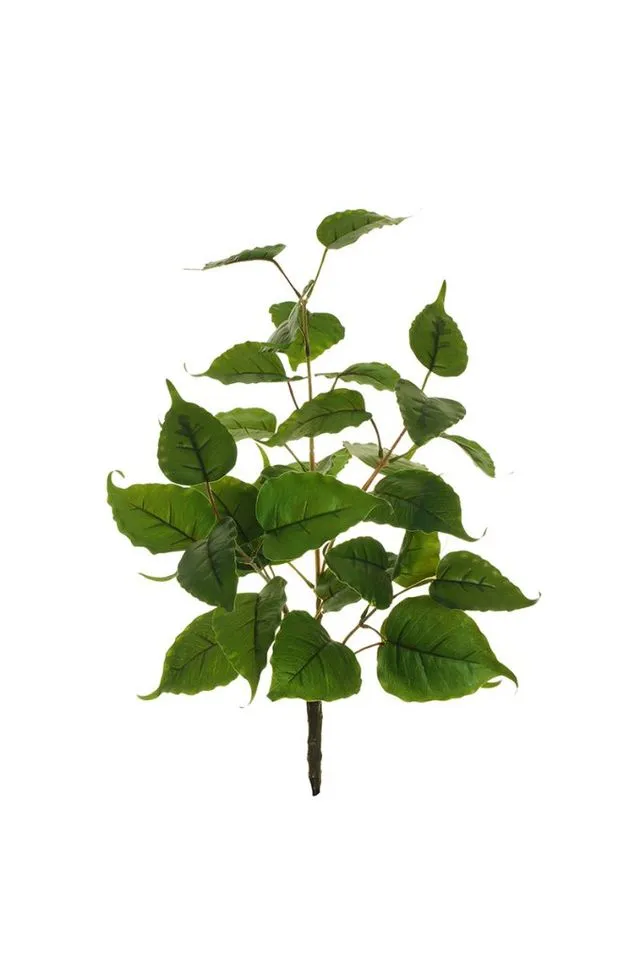Feuillazur Rungis Fougère feuillage 64cm vert