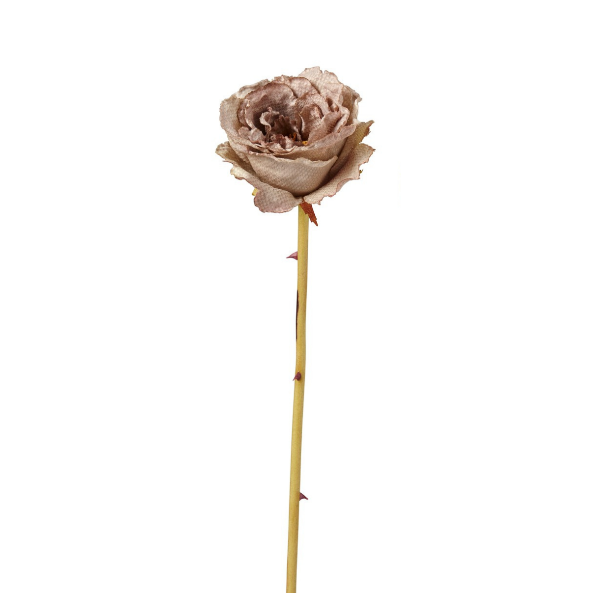 Sia Home Leslie Rose fermée artificielle marron 55 cm