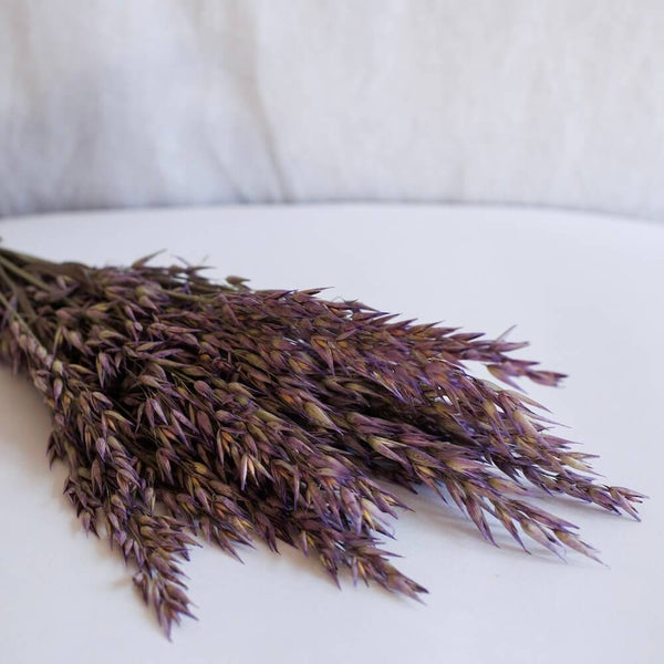 Flowrette Violet Oat botte séchée violette