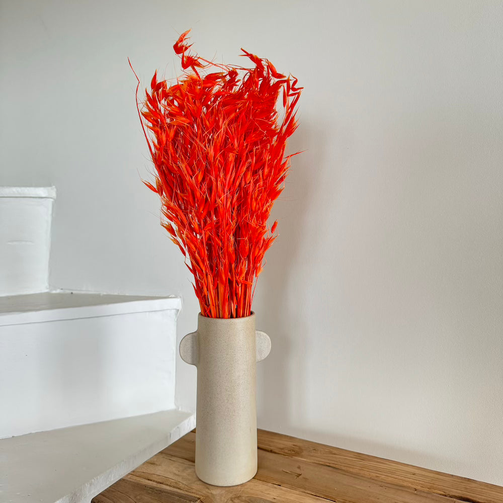 Flowrette Avoine orange foncé fleur séchée x1