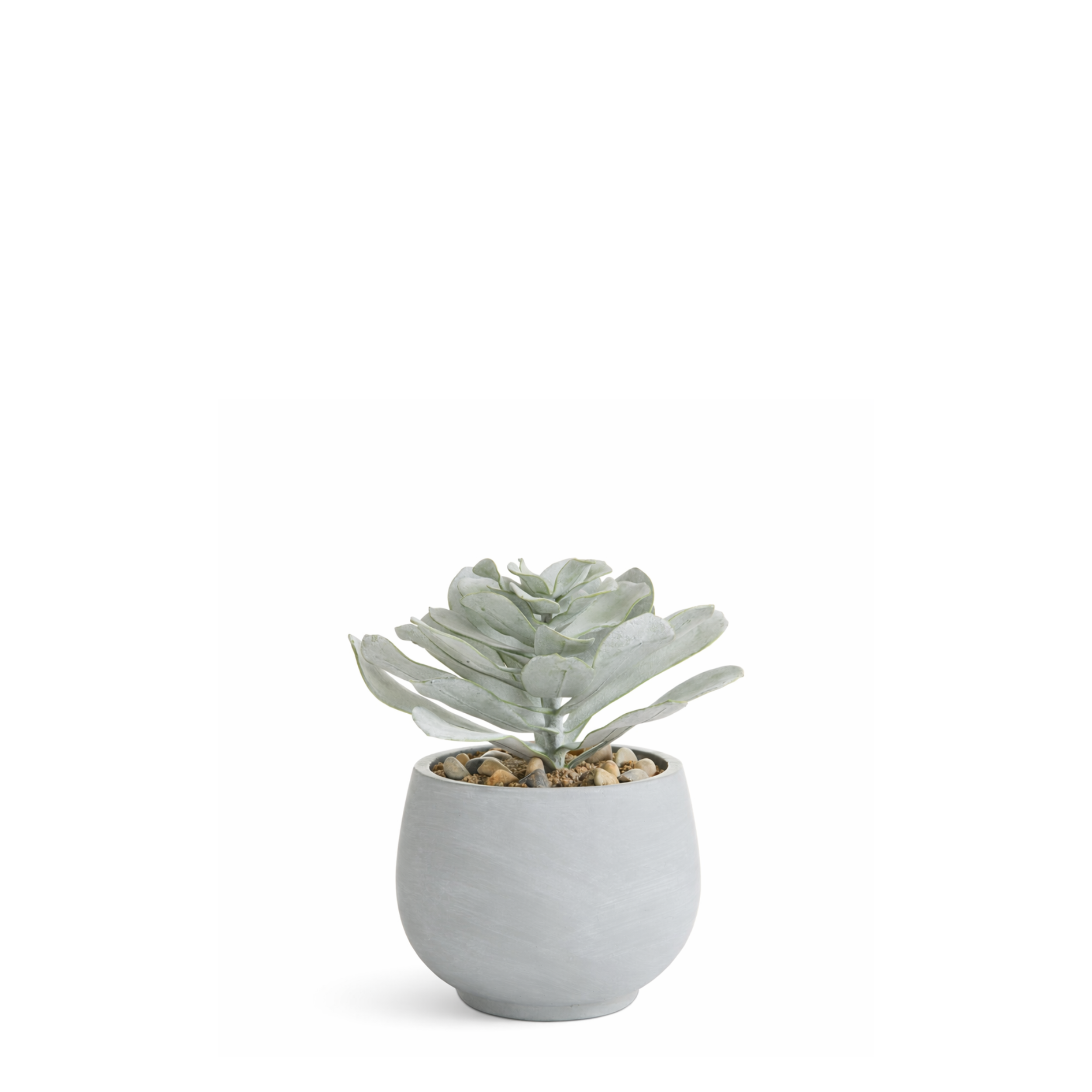 Sia Home Succulente Pot Maya 21 cm vert plante artificielle