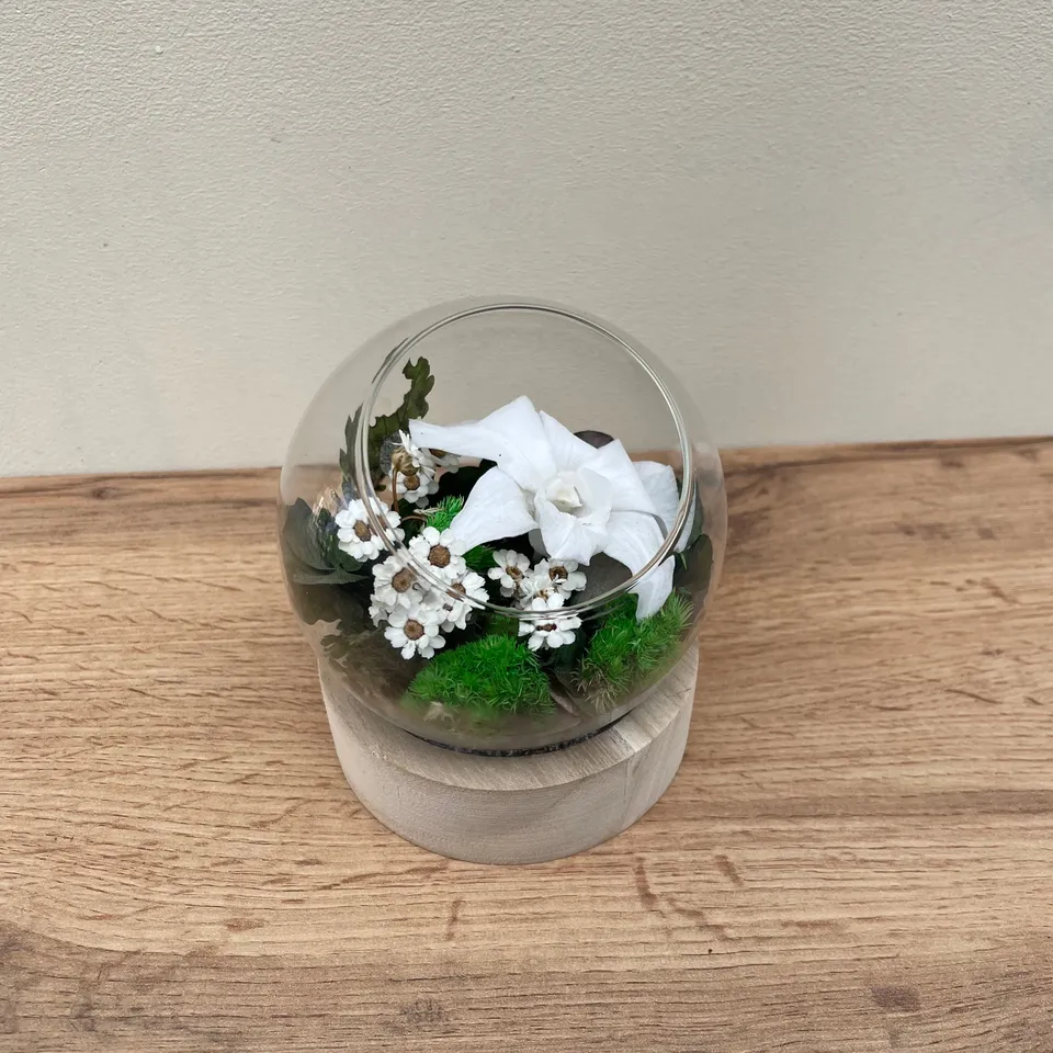 Ateliers Ouchamp Allée du Brindeau bulle orchidée verre S