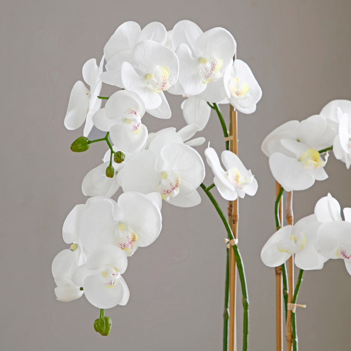 Sia Home Composition orchidée artificielle vase doré 79cm