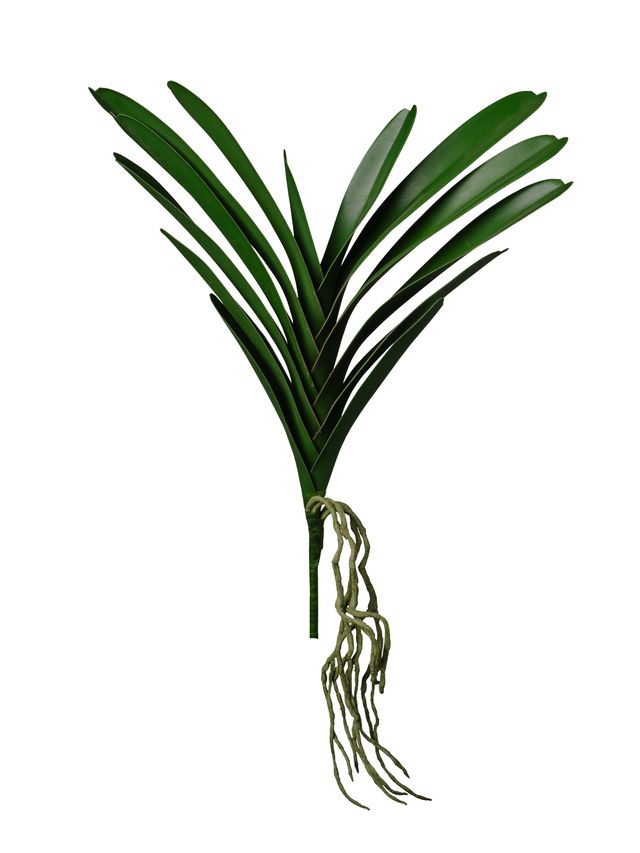Feuillazur Rungis Feuille d'orchidée artificielle vert 53cm