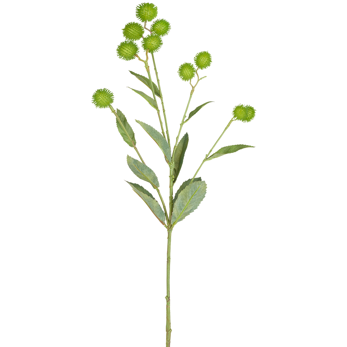 Sia Home Bardane tige artificielle graines bleu vert 78 cm