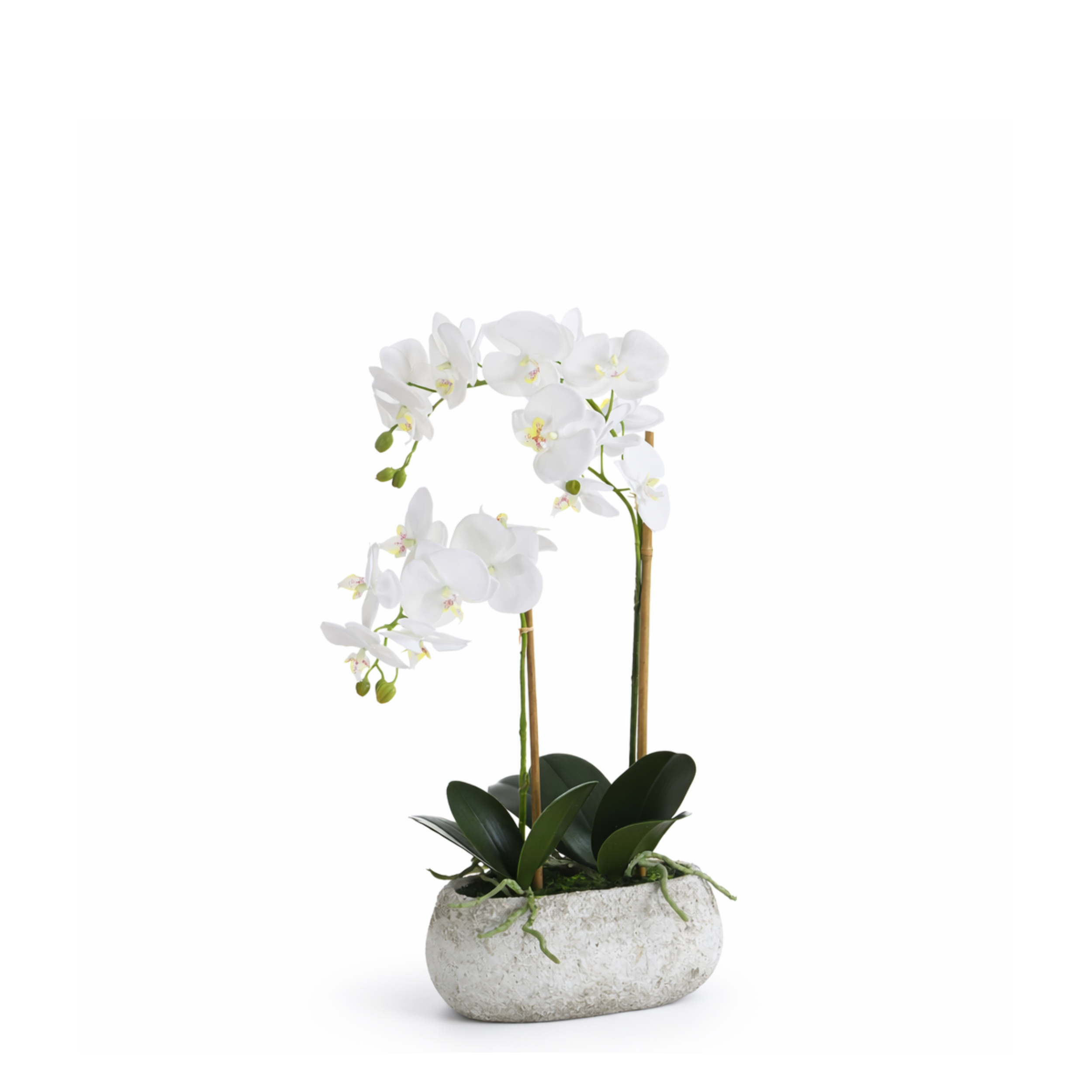 Sia Home Sérena composition orchidée artificielle blanc 65 cm