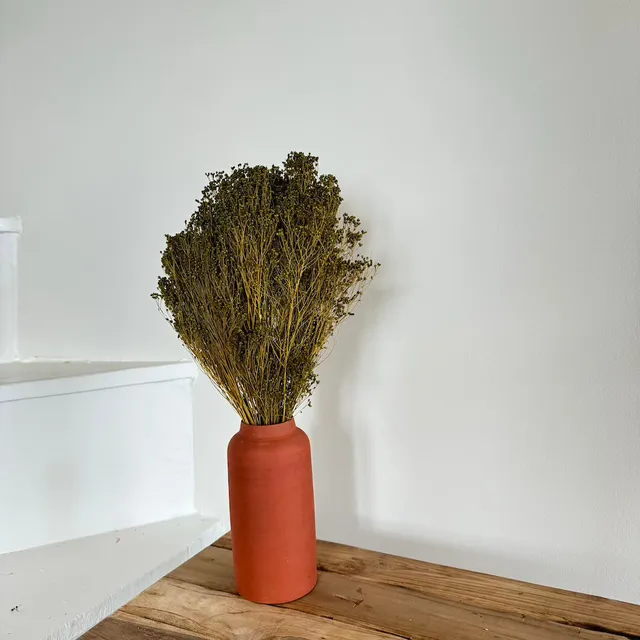 Flowrette Broom Bloom vert olive fleurs séchées botte x1