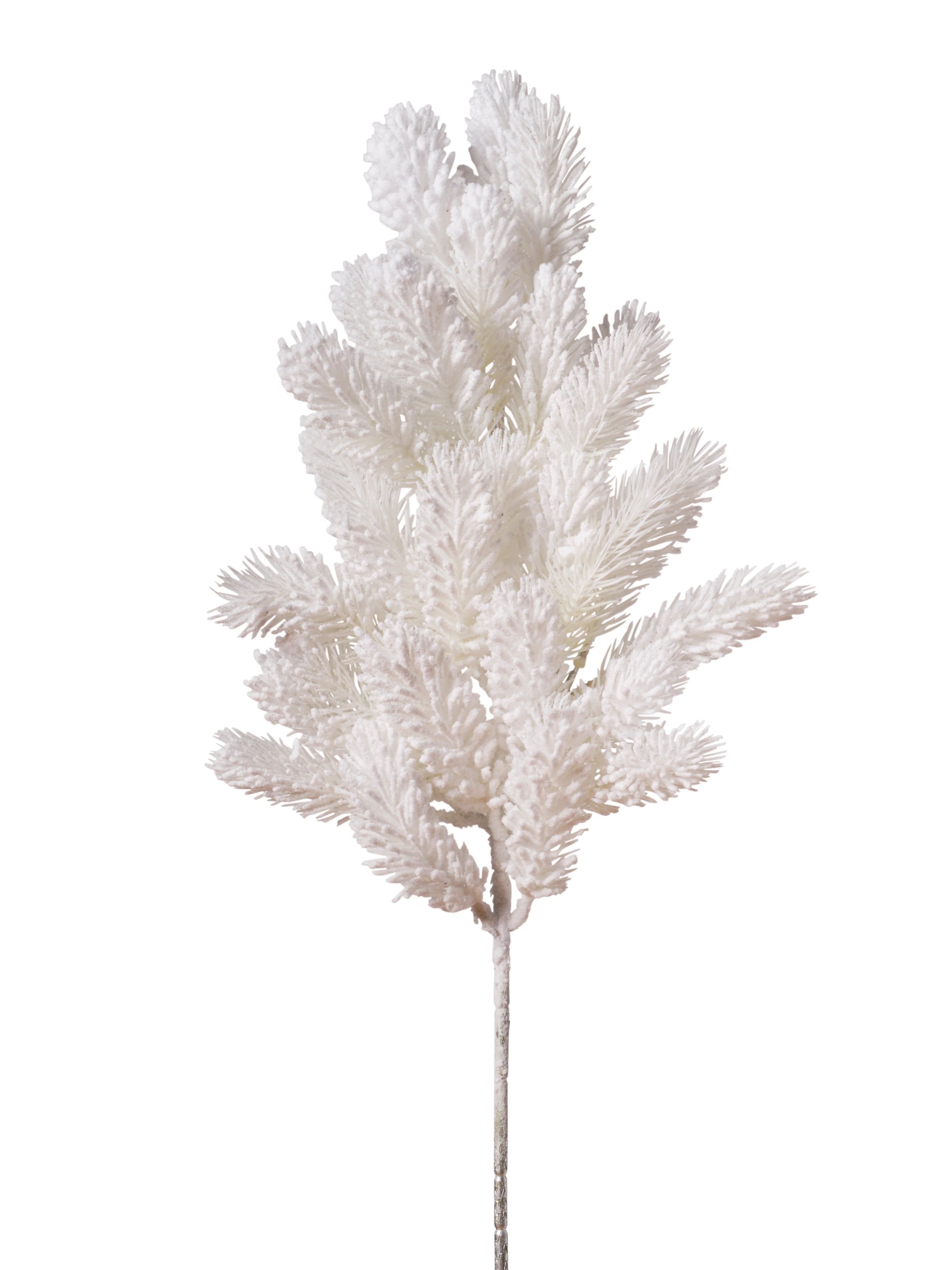 Feuillazur Rungis Branche de pin blanc feuillage Noël
