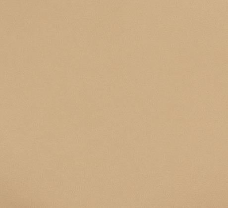 Feuillazur Rungis moquette beige décorative 1m salon bureau