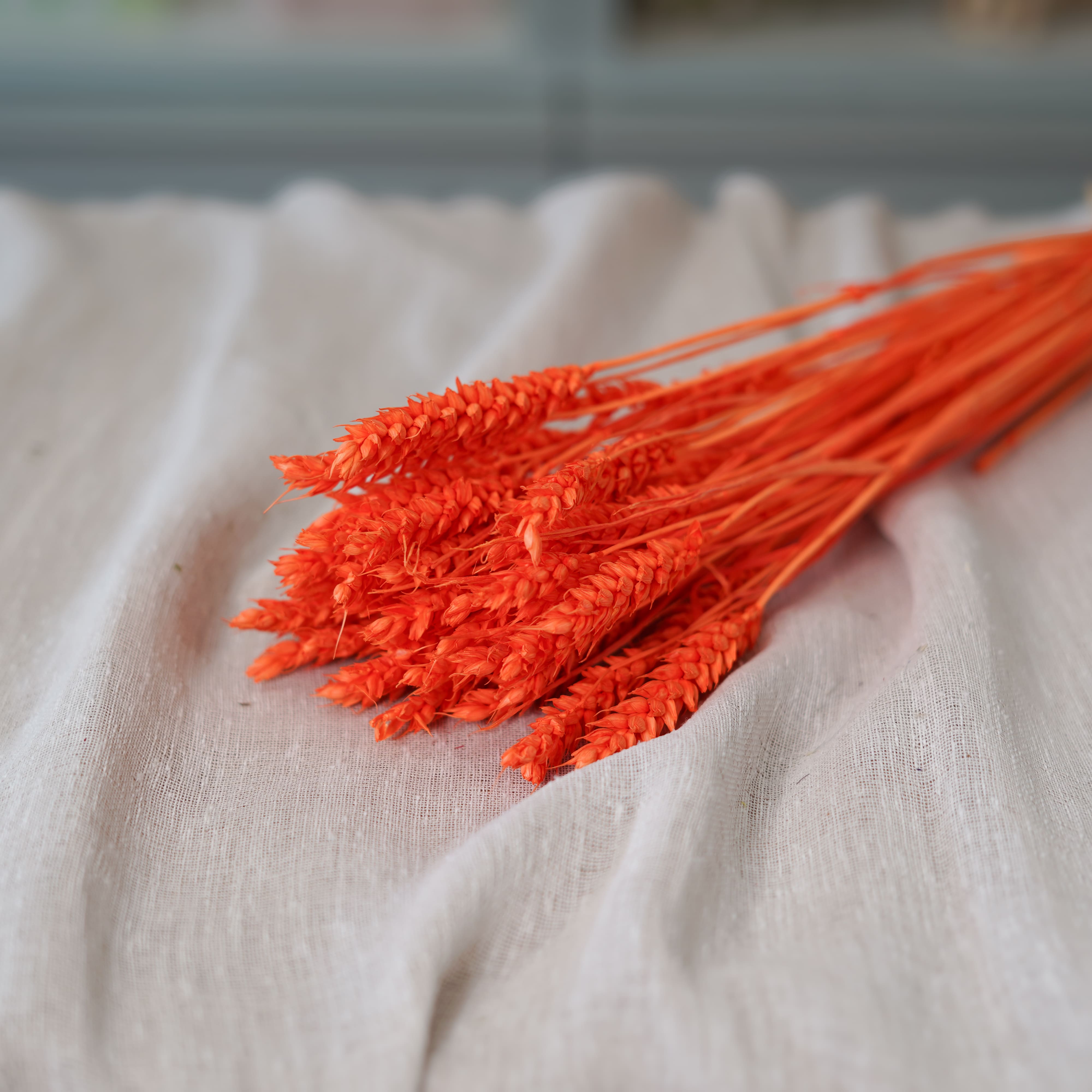 Flowrette blé fleurs séchées orange intense botte