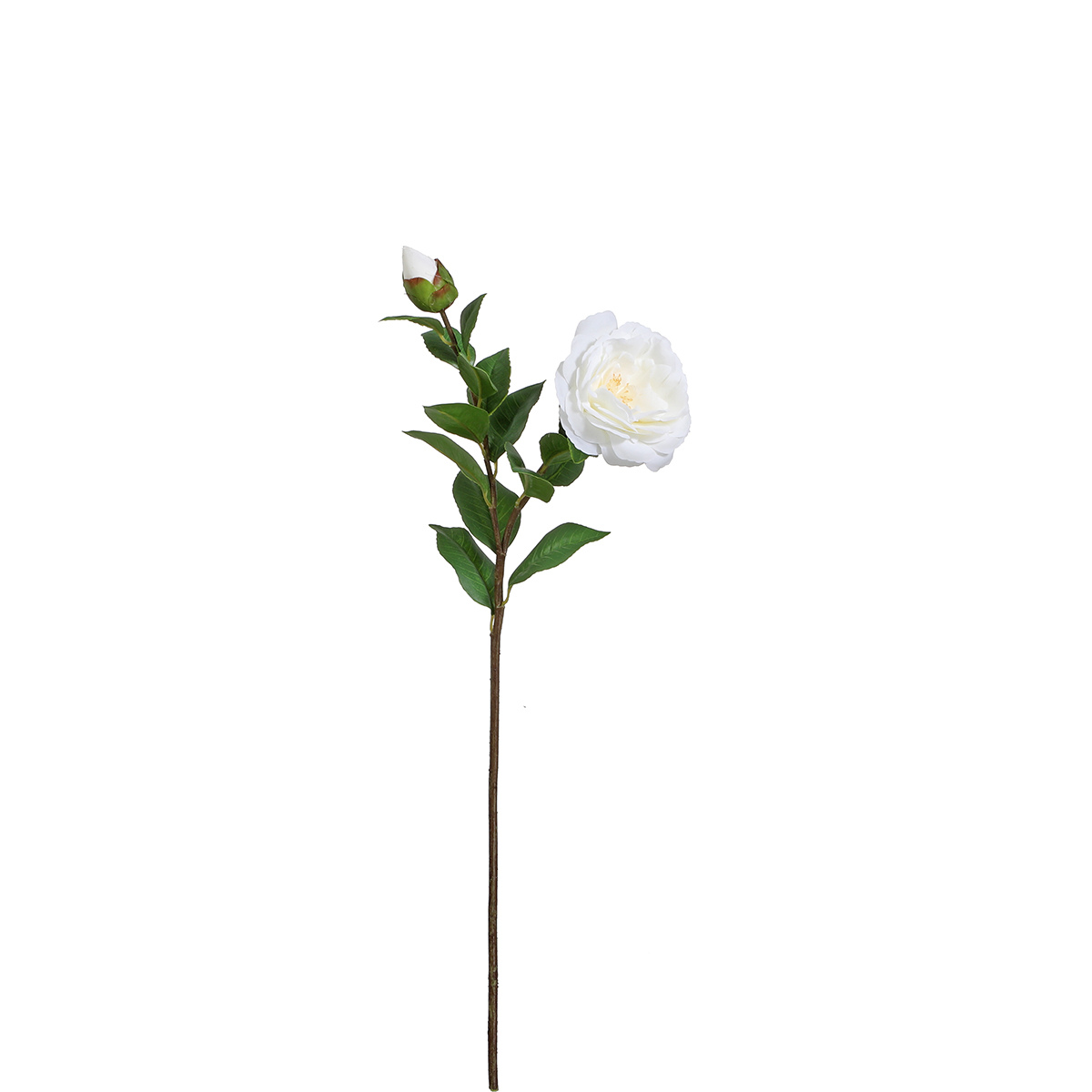 Sia Home Tige camélia artificiel rouge 53 cm fleur