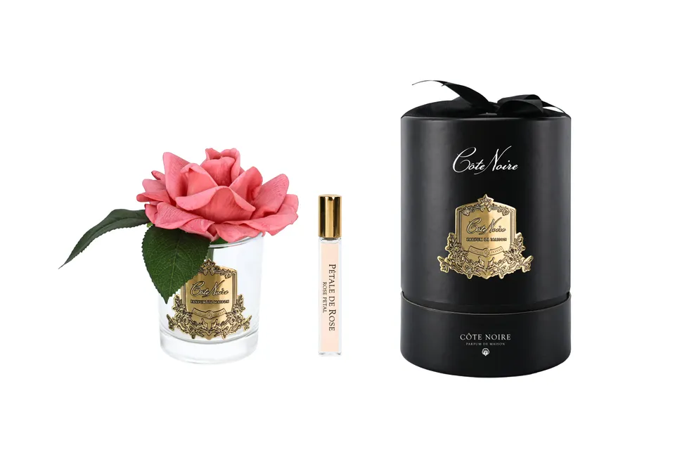 Côte Noire RMR05 fleur parfumée rose pêche vase verre