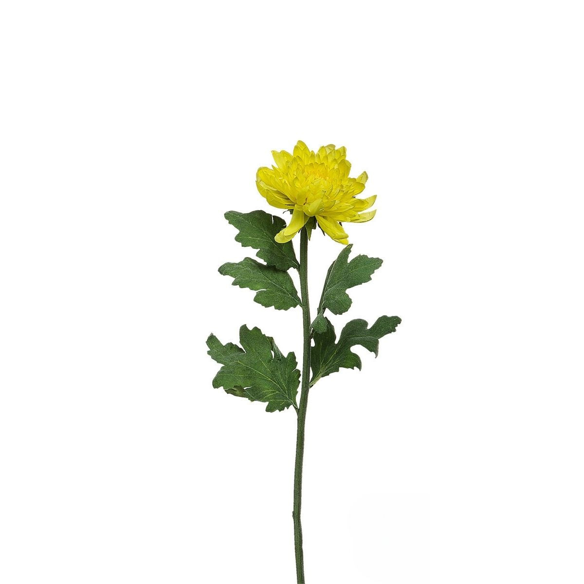 Sia Home Tige Chrysanthème Mum 47 cm fleur jaune pâle
