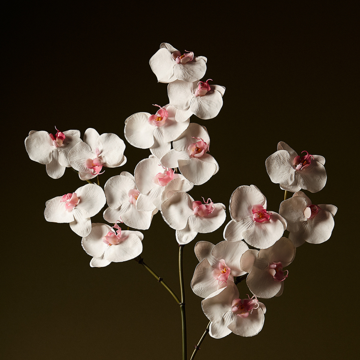 Sia Home Orchidée Phalaenopsis tige artificielle blanc 66 cm
