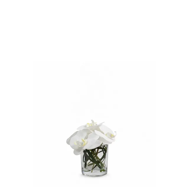 Sia Home Elie composition orchidée blanche vase 17 cm