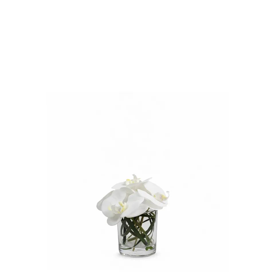 Sia Home Elie composition orchidée blanche vase 17 cm