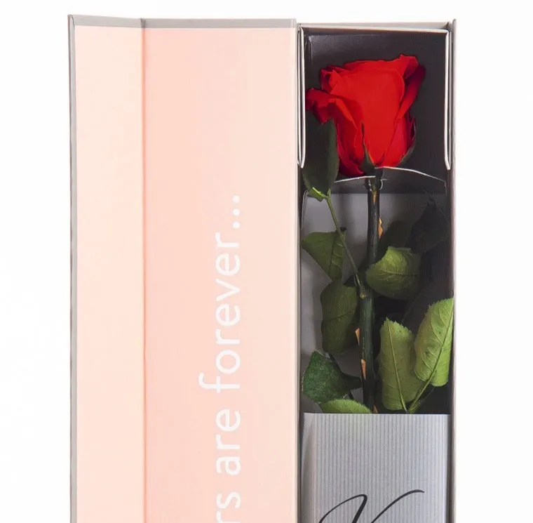 Feuillazur Rungis Stabilisés Rose stabilisée premium+ rouge 54 cm