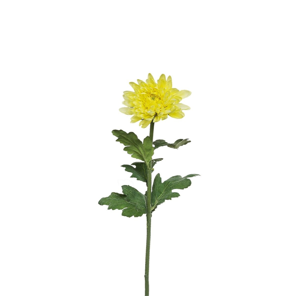 Sia Home Tige Chrysanthème Mum 47 cm fleur jaune pâle