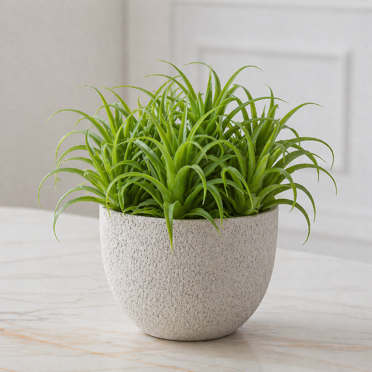 Sia Home Feuillages Tillandsia 20 cm tige verte