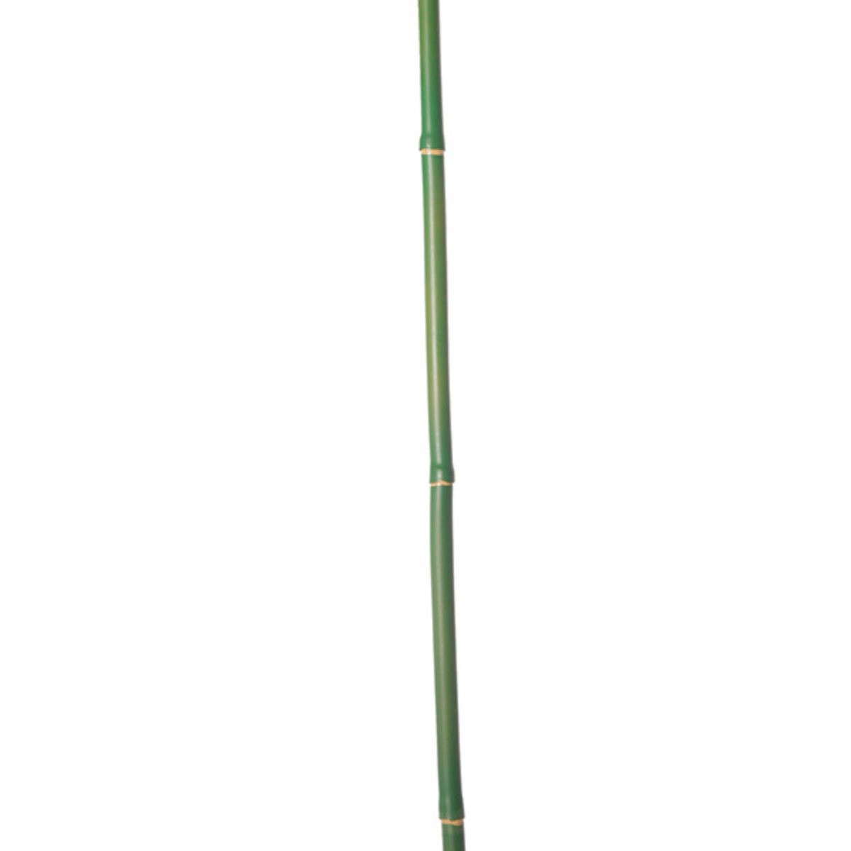 Sia Home Bambou branche artificielle verte 101 cm
