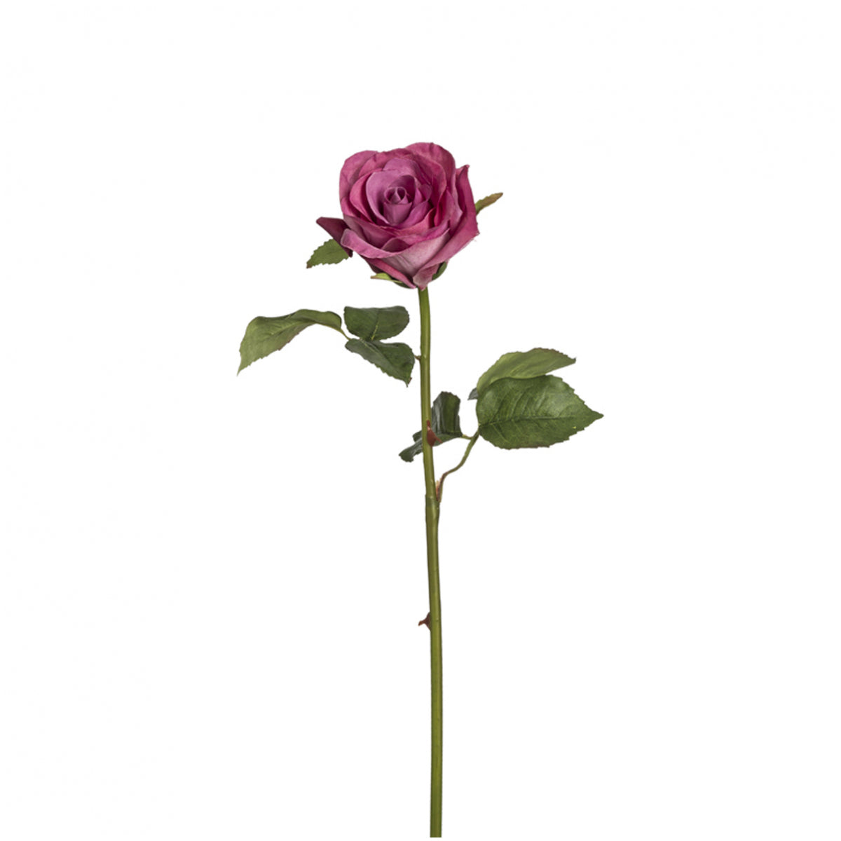 Sia Diane tige rose artificielle 53 cm crème