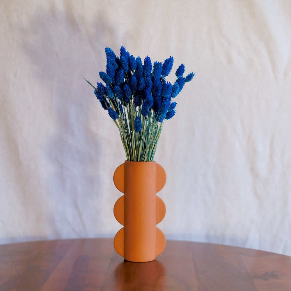 Flowrette Botte Phalaris bleu séché bleu pétrole x1