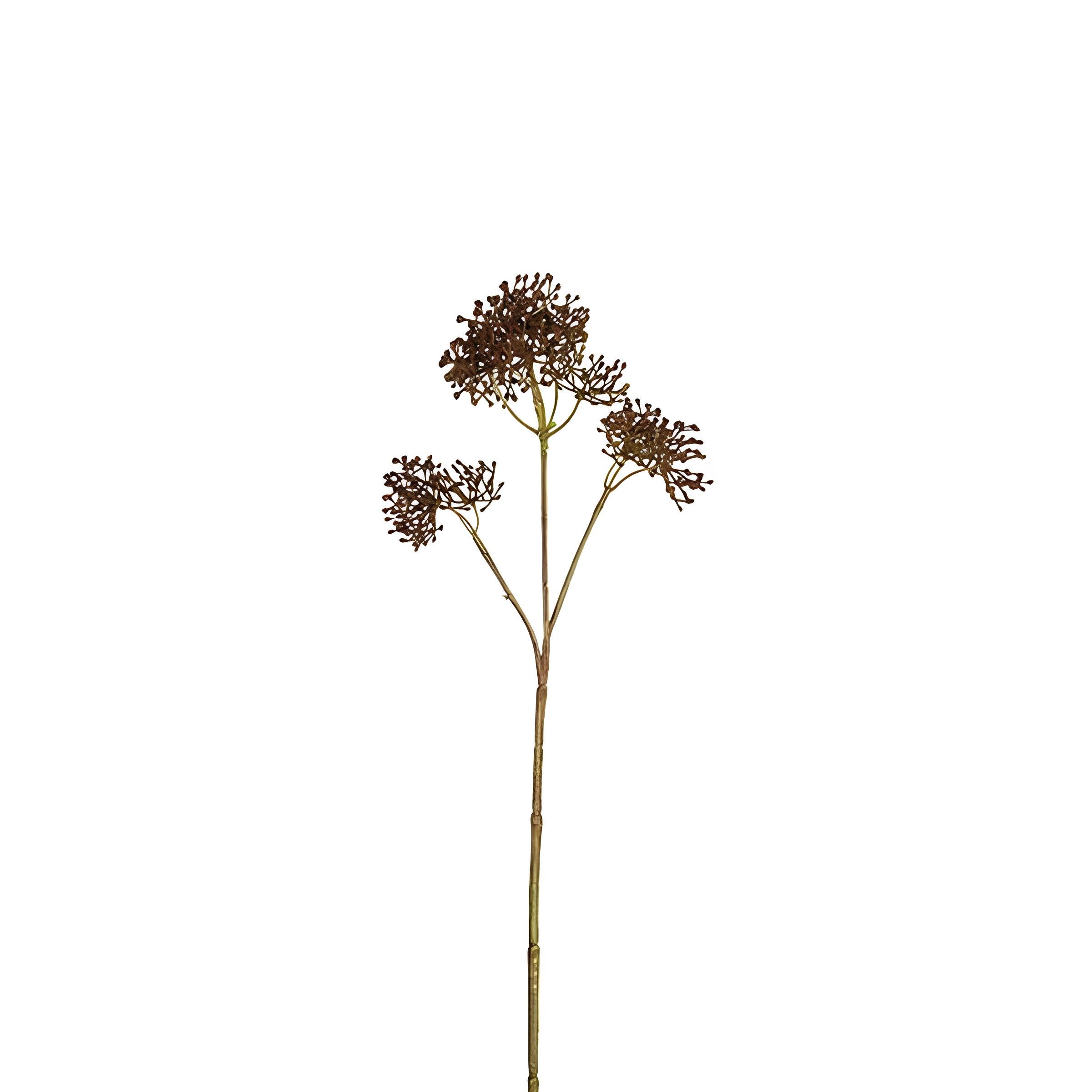 Sia Home Skimmia tige feuillage artificiel marron 40 cm