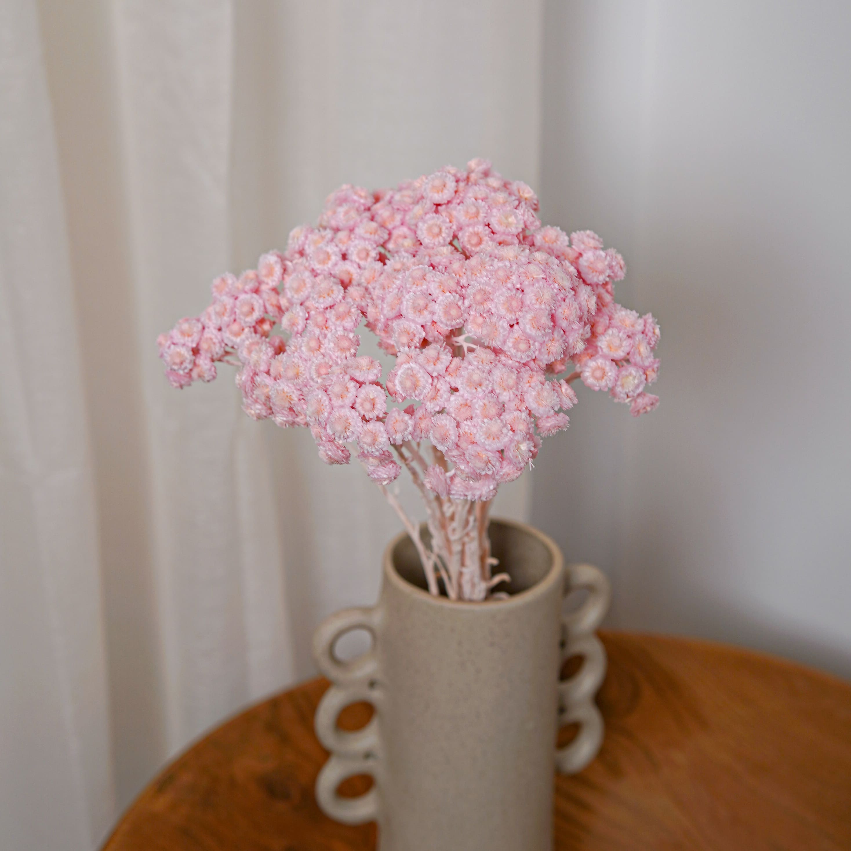 Flowrette Immortelles du Var fleurs séchées rose botte x1