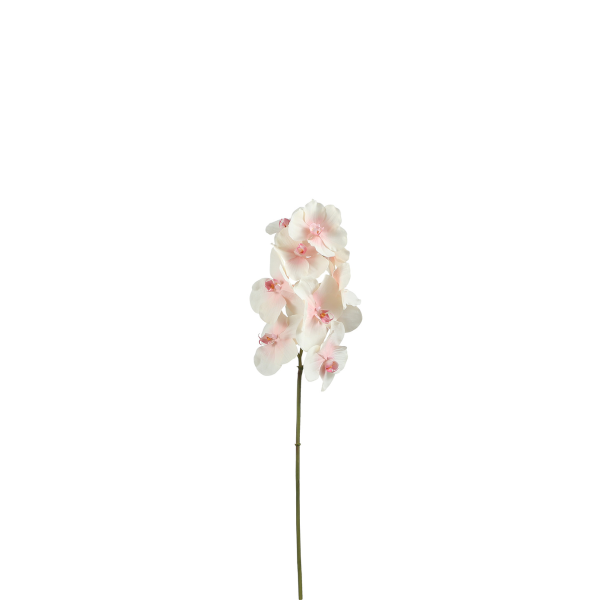Sia Home Tige Orchidée Bandailan 60 cm blanc rose fleur