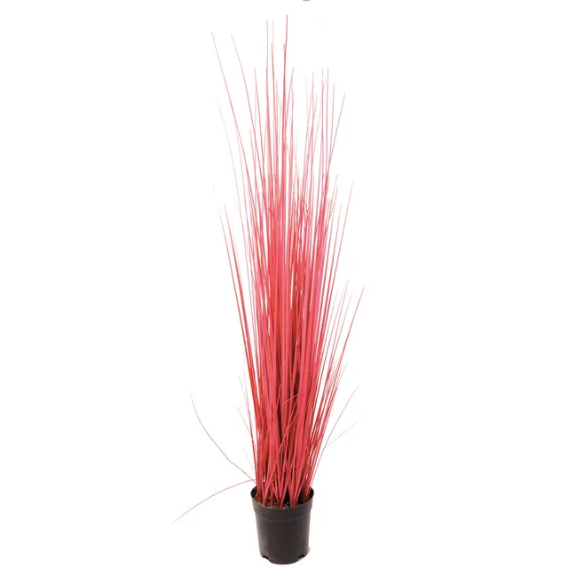 Sia Home Herbe en Pot 100 cm rouge plastique