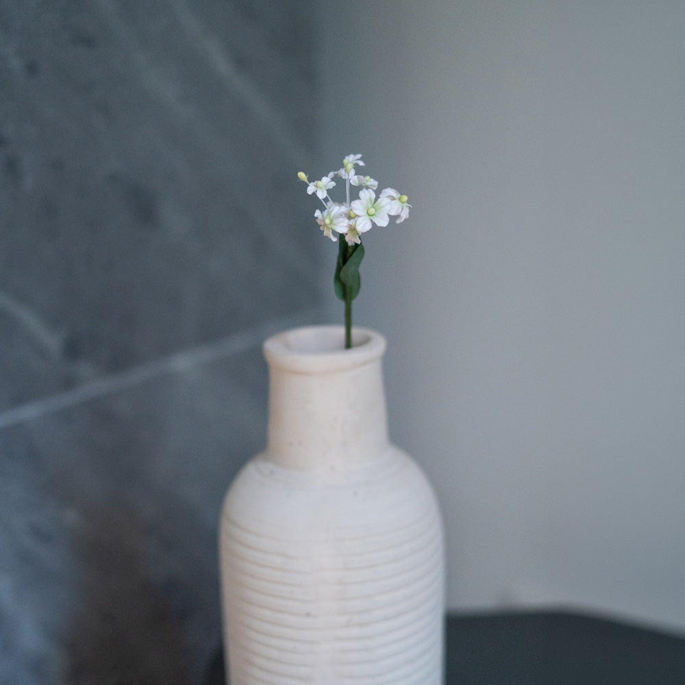 Flowrette Scaévola fleur en papier blanc x1 éventail
