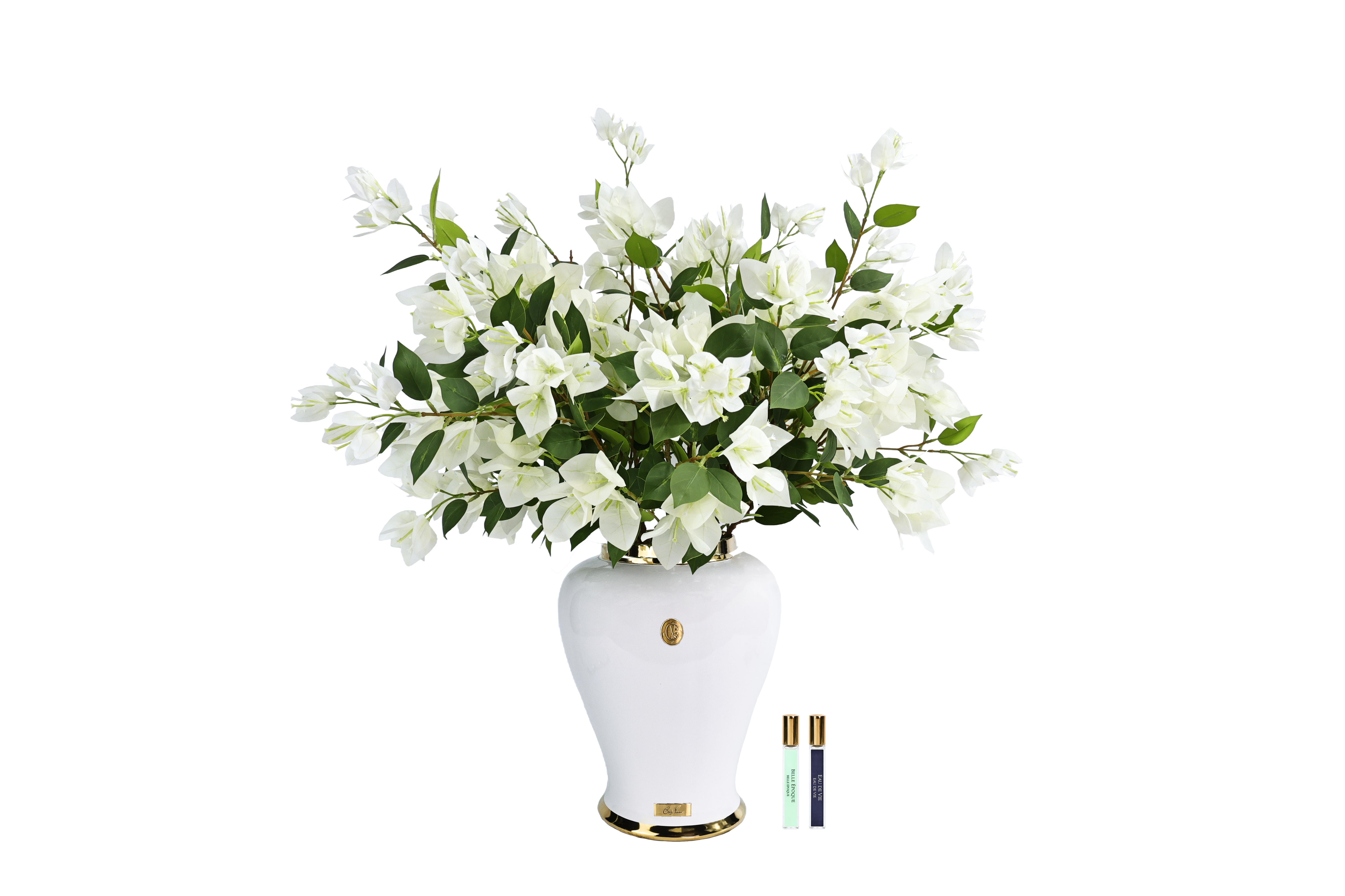 Côte Noire Imperial IMPWB01 bougainvillée blanche urne