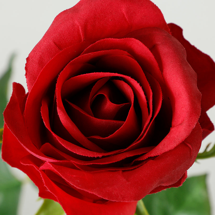 Sia Home Dutchess tige rose 50 cm rouge premium