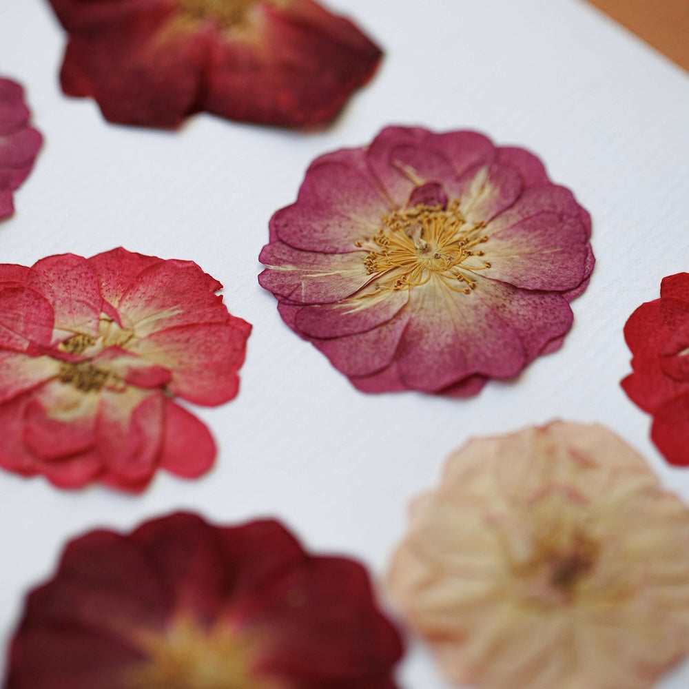 Flowrette Jardin des amoureux herbier fleurs A4