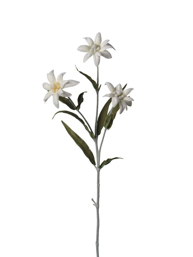 Feuillazur Edelweiss fleur artificielle blanc 50cm