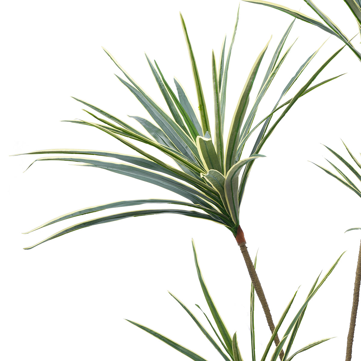 Sia Home Arbre Yucca en Pot 155 cm arbre artificiel vert