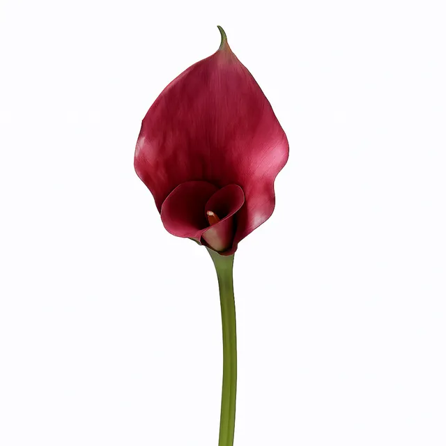 Sia Home Arum 75 cm tige artificielle bordeaux