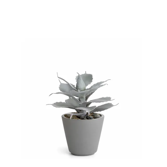 Sia Home Maya succulente artificielle rouge pot 23 cm