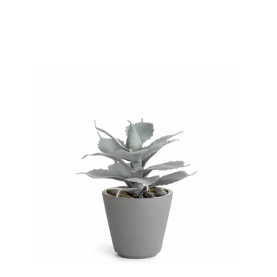 Sia Home Maya succulente artificielle rouge pot 23 cm